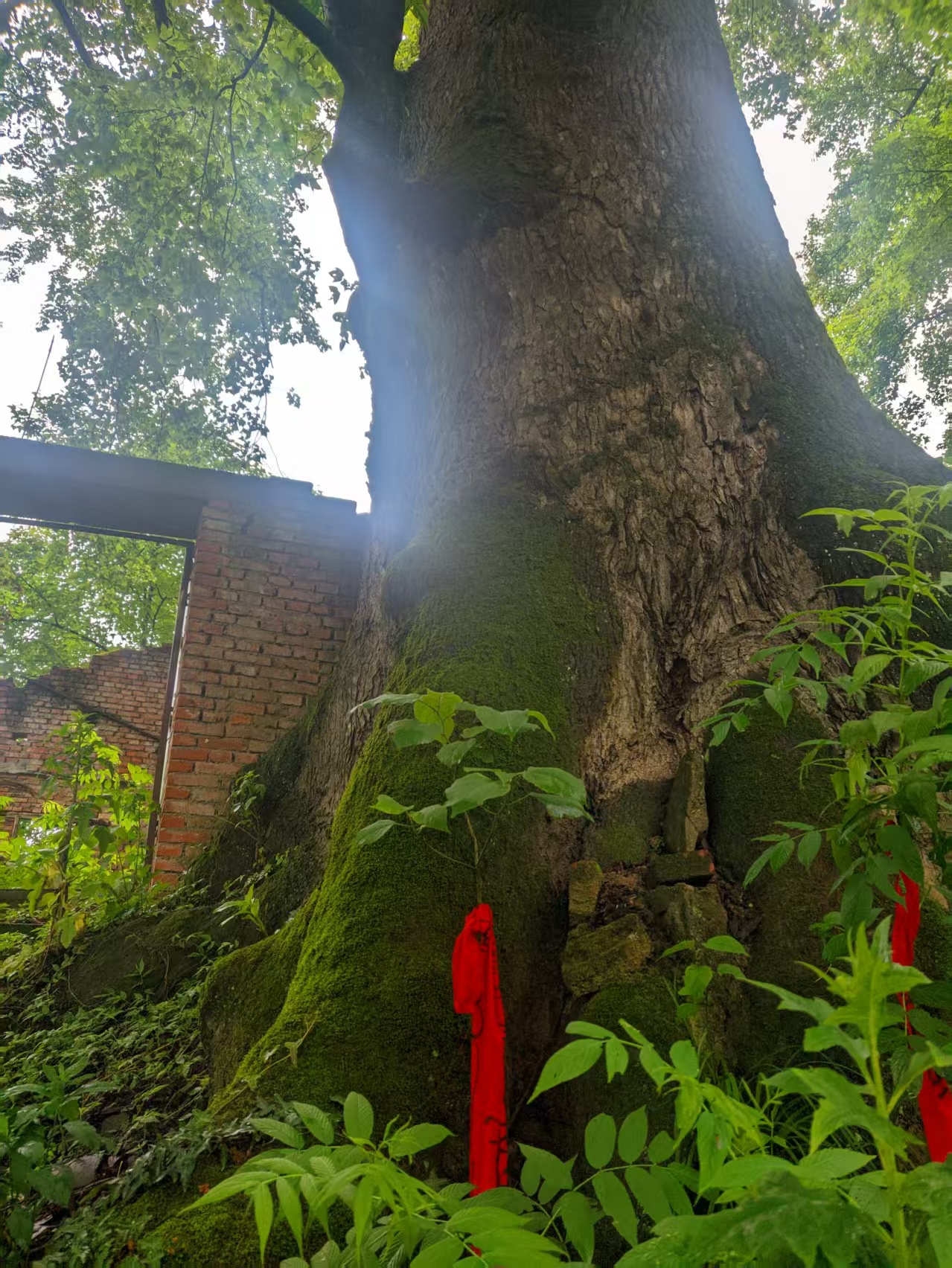Album image 5