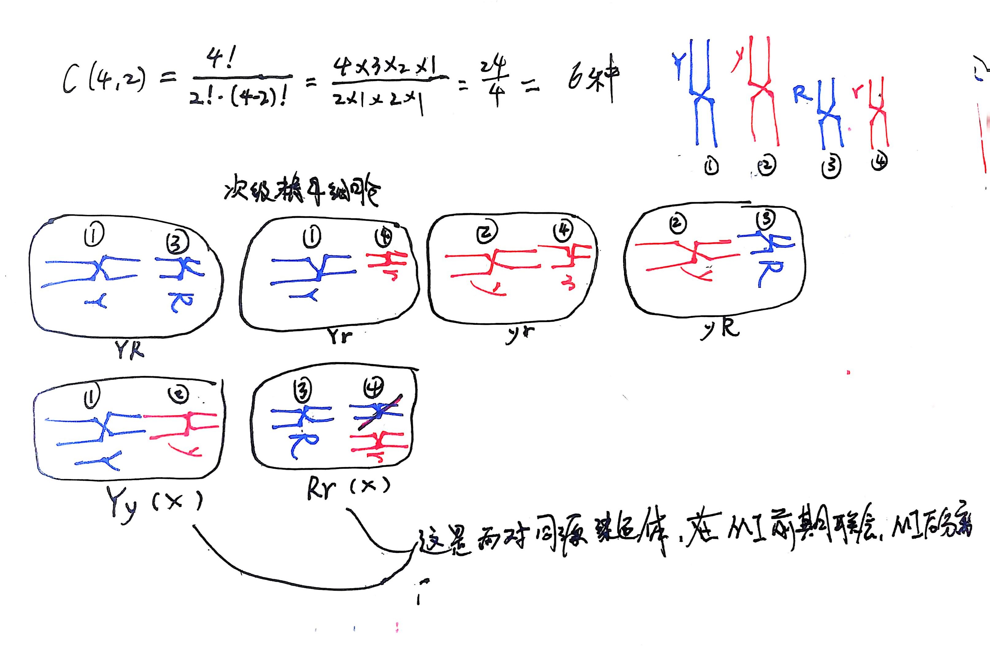 全部的 6 种情况