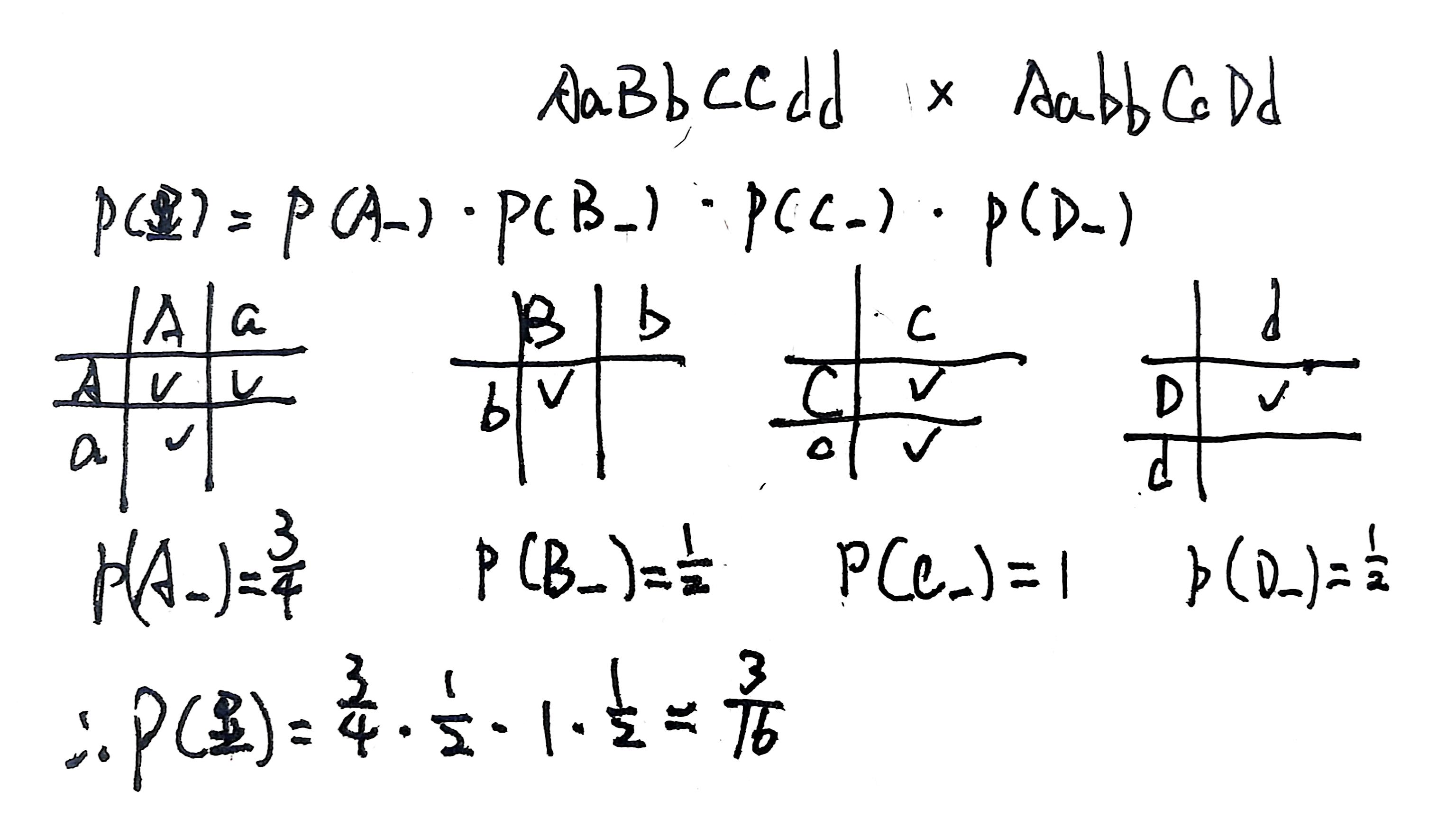 AaBbCCdd x AabbCcDd 四方格旁氏表