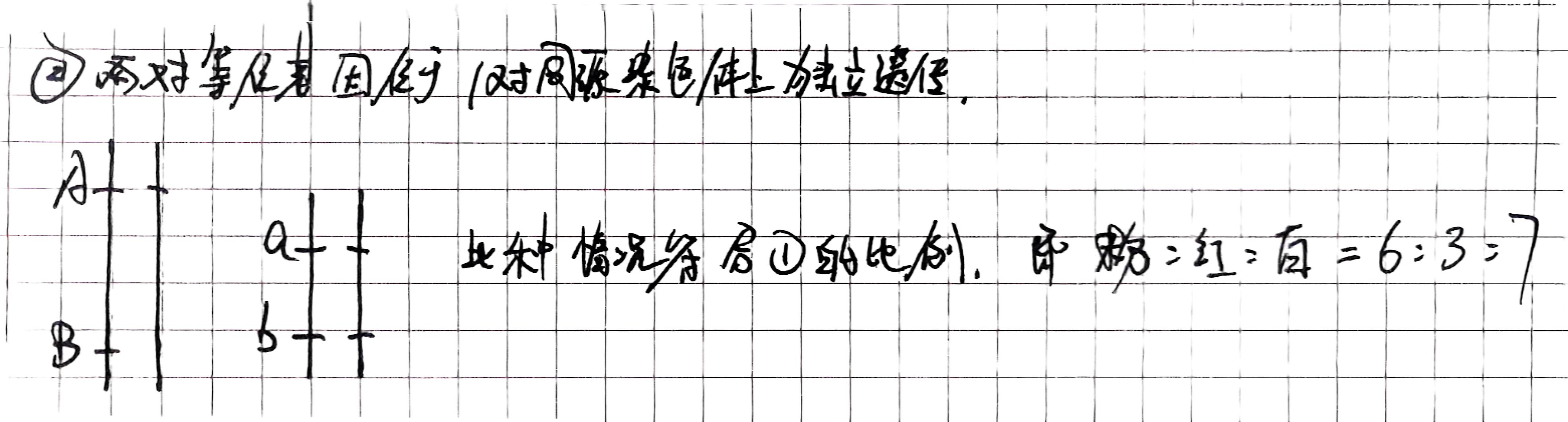 两对等位基因位于同一条染色体上独立遗传