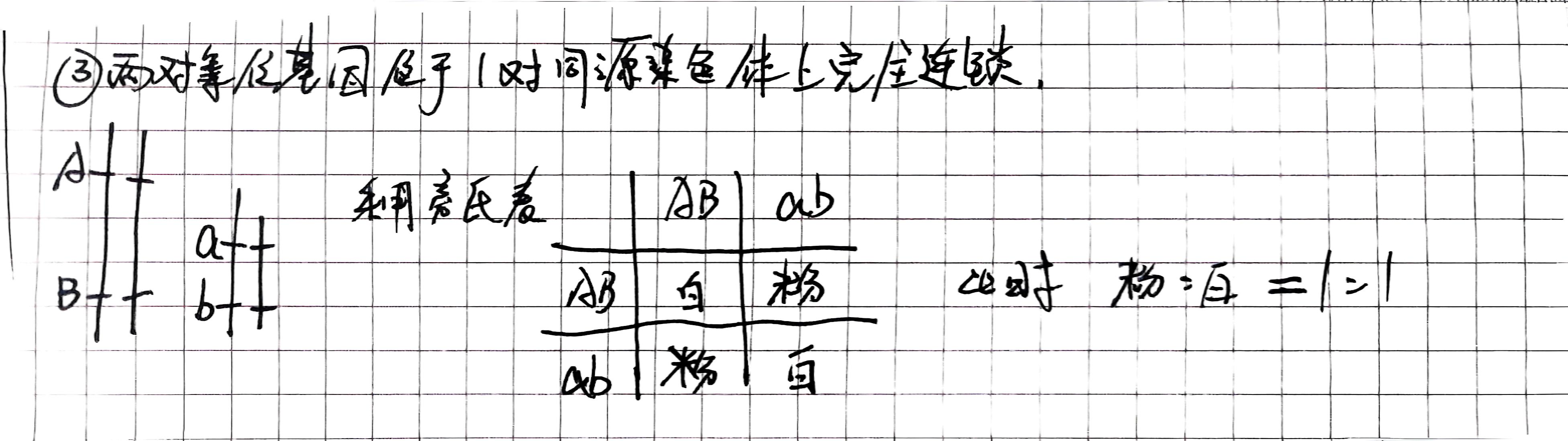 两对等位基因位于同一条染色体上完全连锁
