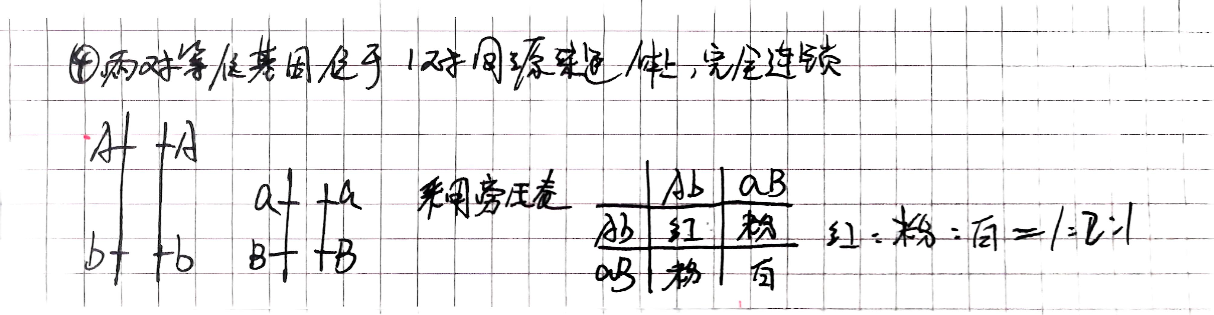 两对等位基因位于同一条染色体上完全连锁