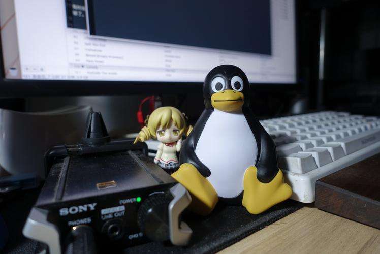 Album image 29